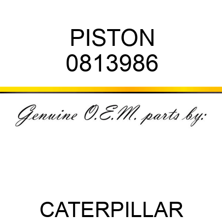 PISTON 0813986