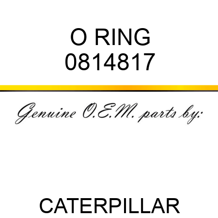 O RING 0814817