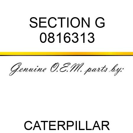 SECTION G 0816313