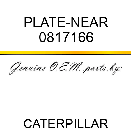 PLATE-NEAR 0817166