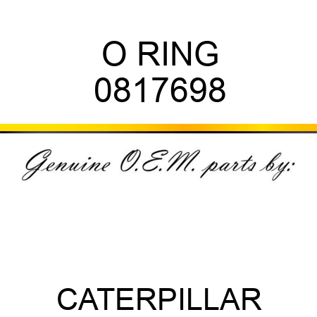 O RING 0817698