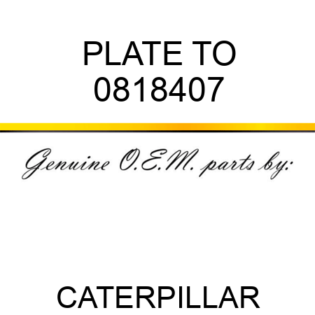 PLATE TO 0818407