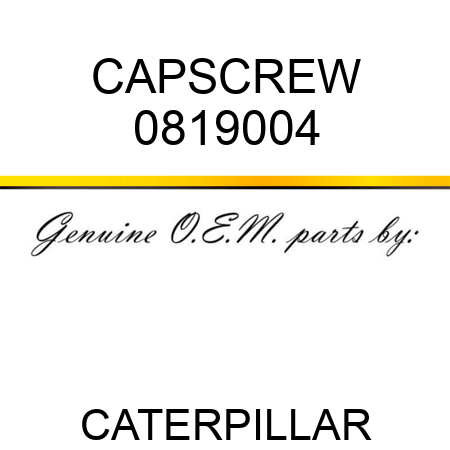 CAPSCREW 0819004