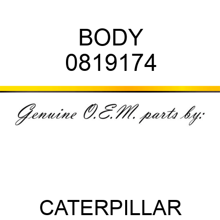 BODY 0819174