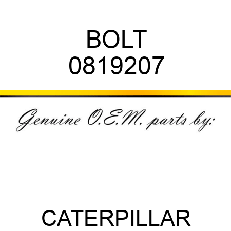 BOLT 0819207