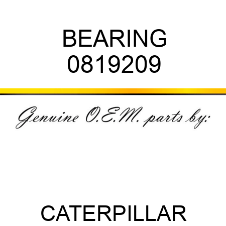 BEARING 0819209