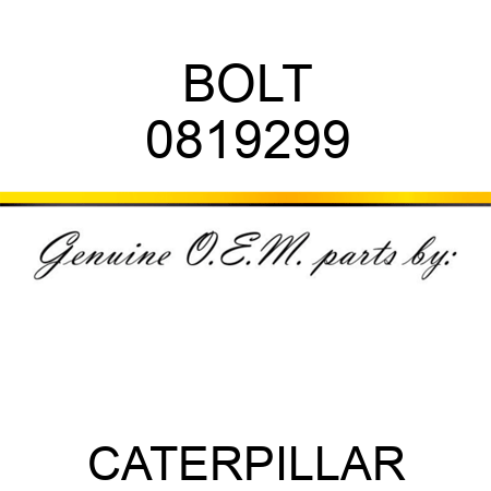 BOLT 0819299