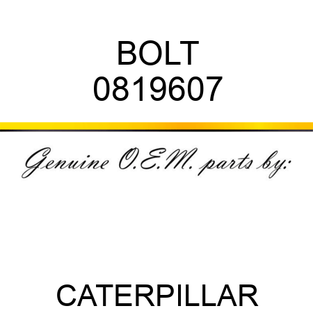 BOLT 0819607