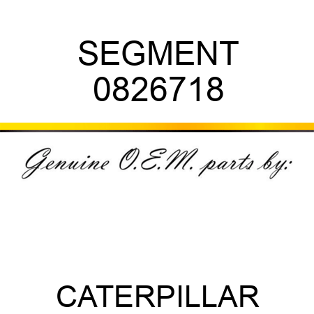 SEGMENT 0826718