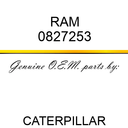 RAM 0827253