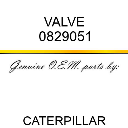 VALVE 0829051