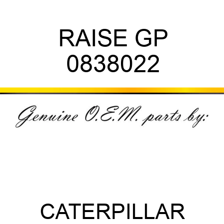 RAISE GP 0838022