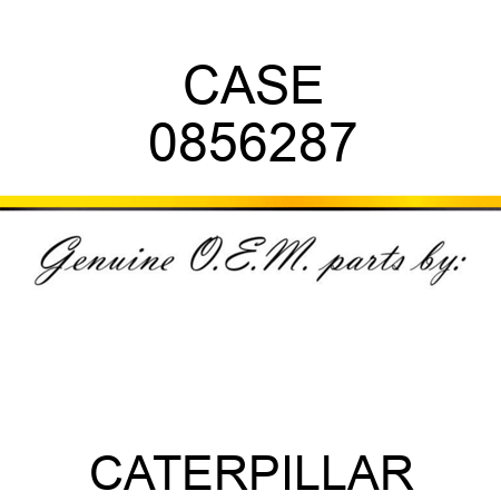 CASE 0856287