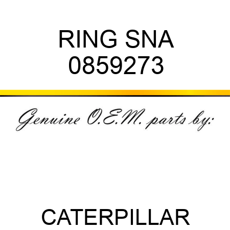 RING SNA 0859273