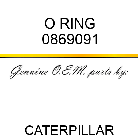 O RING 0869091