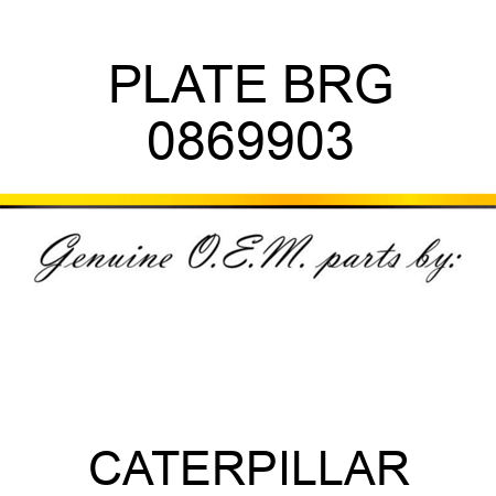 PLATE BRG 0869903