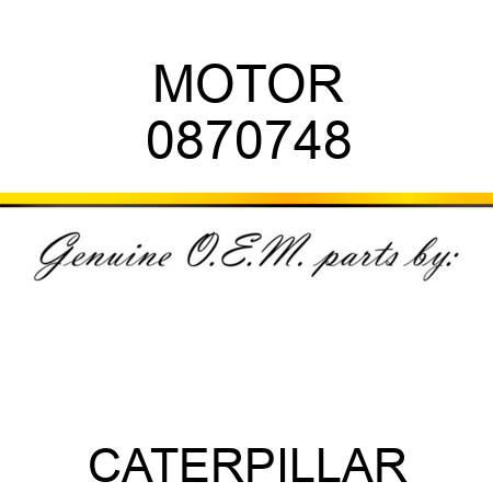 MOTOR 0870748