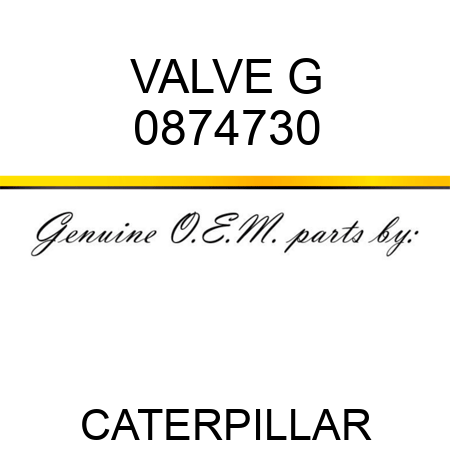 VALVE G 0874730