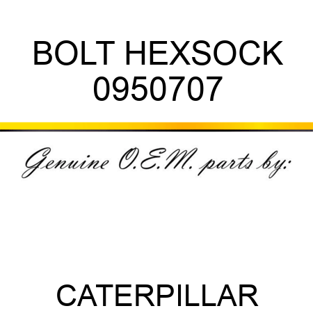 BOLT HEXSOCK 0950707