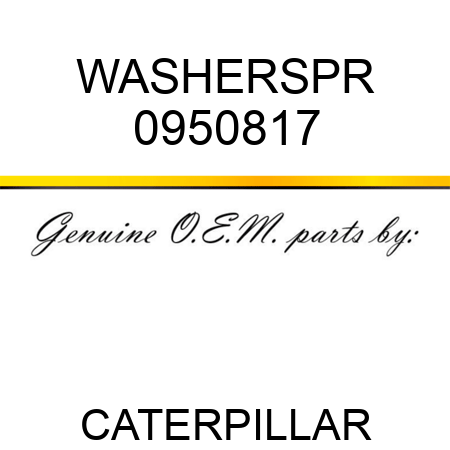 WASHER,SPR 0950817