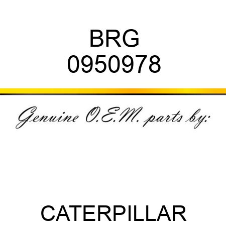 BRG 0950978