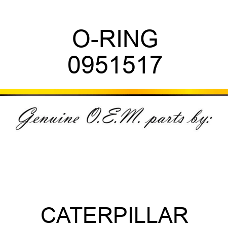 O-RING 0951517