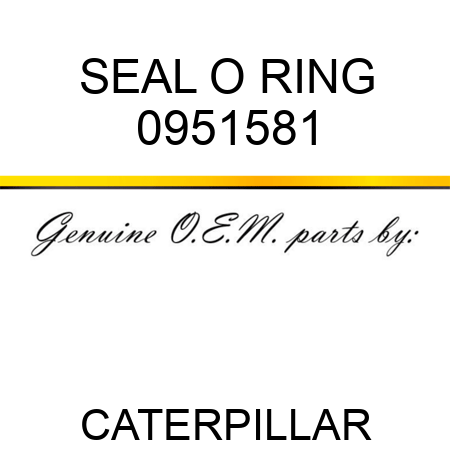 SEAL O RING 0951581