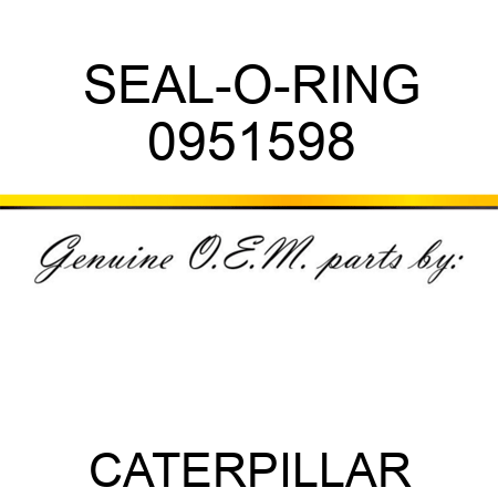 SEAL-O-RING 0951598