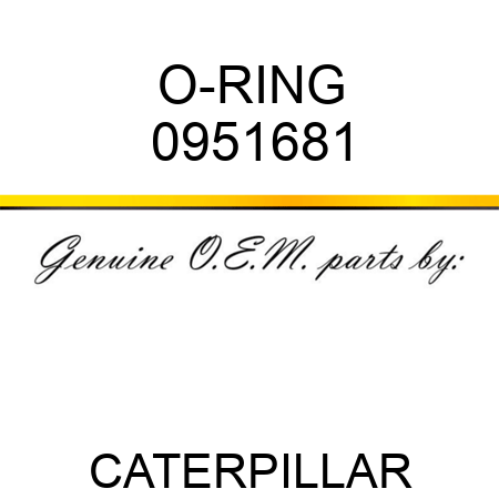 O-RING 0951681