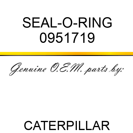 SEAL-O-RING 0951719