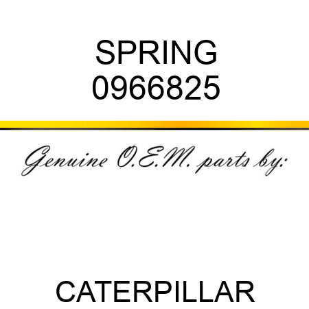 SPRING 0966825