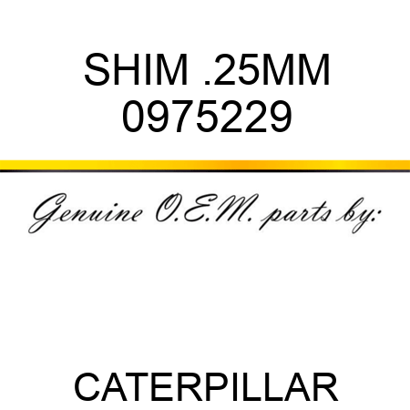 SHIM .25MM 0975229