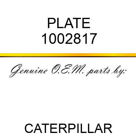 PLATE 1002817