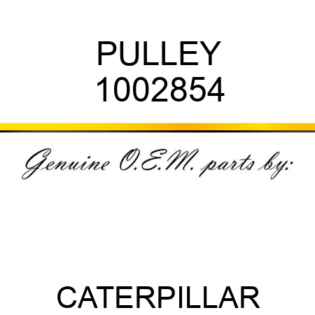 PULLEY 1002854