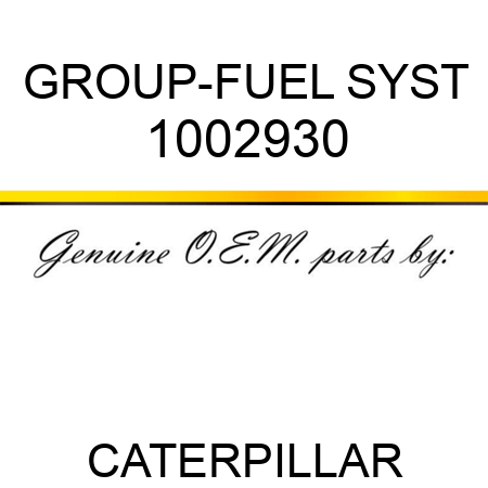 GROUP-FUEL SYST 1002930