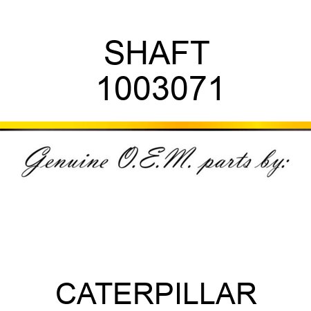 SHAFT 1003071