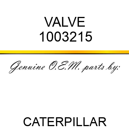 VALVE 1003215