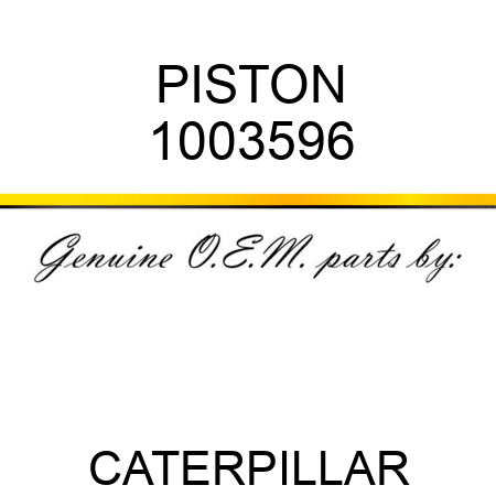 PISTON 1003596