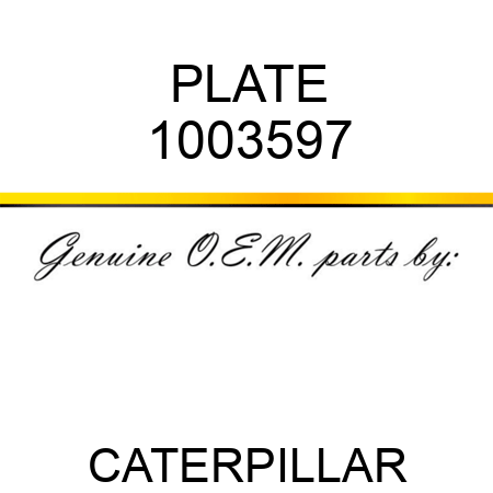 PLATE 1003597