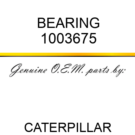 BEARING 1003675