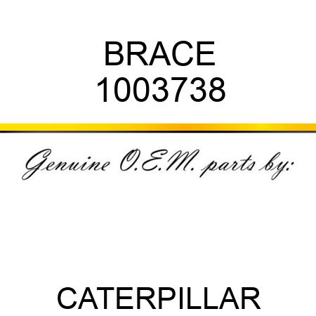 BRACE 1003738