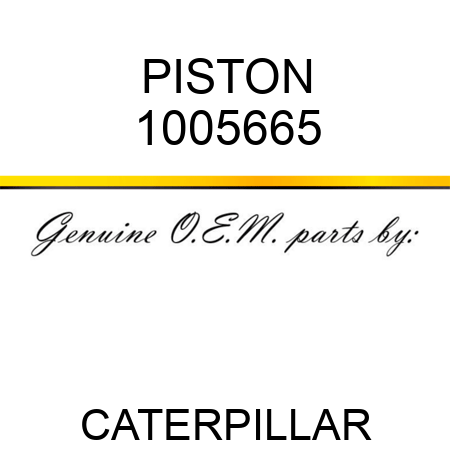 PISTON 1005665