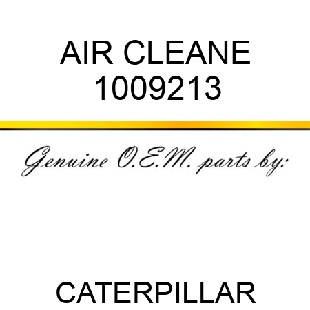AIR CLEANE 1009213