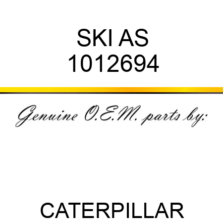 SKI AS 1012694