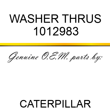 WASHER THRUS 1012983