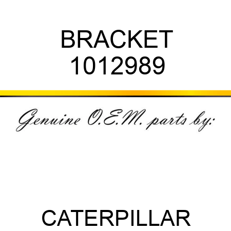 BRACKET 1012989