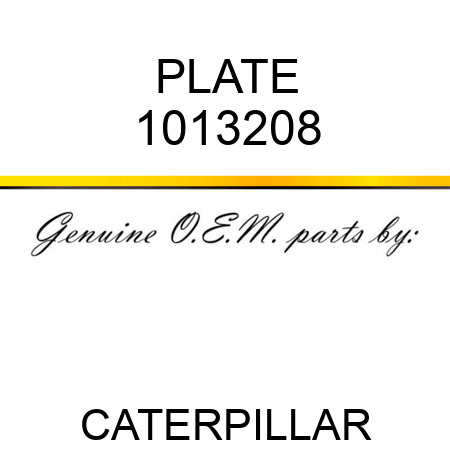 PLATE 1013208