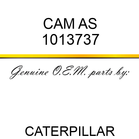 CAM AS 1013737