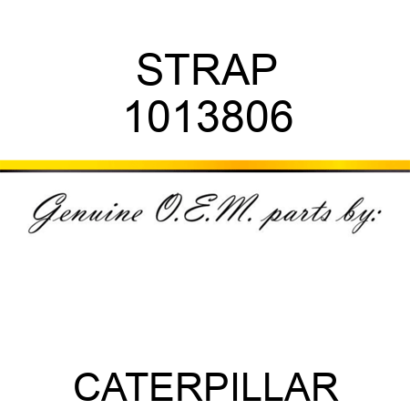 STRAP 1013806