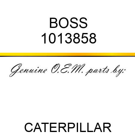 BOSS 1013858
